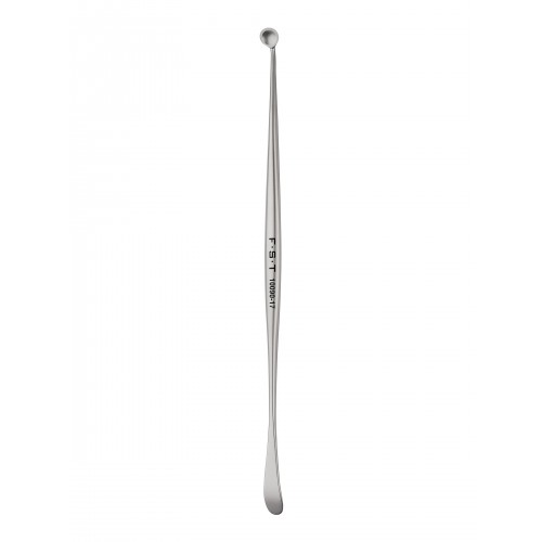 Combination Spoon and Spatula