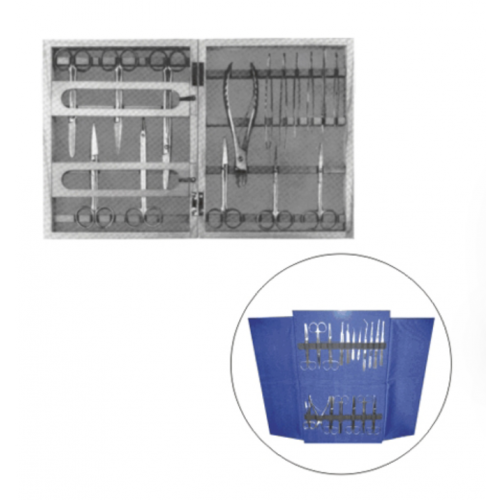 INSTRUMENT SET(22PIECE))-수술기구셋트(22점용)