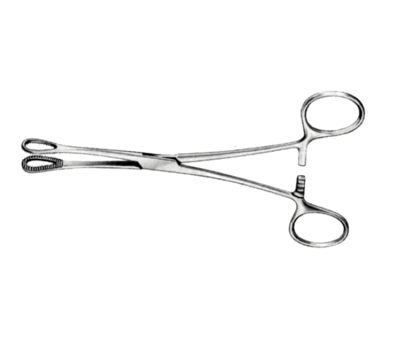 SPONGE FORCEP - 스폰지포셉