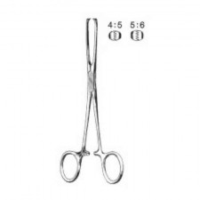 ALLIS - 엘리스 조직감자 18cm (5x6)