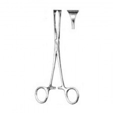 ALLIS - 엘리스 조직감자 15cm (8x9)