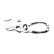 BONE CUTTING FORCEP - 본커팅포셉